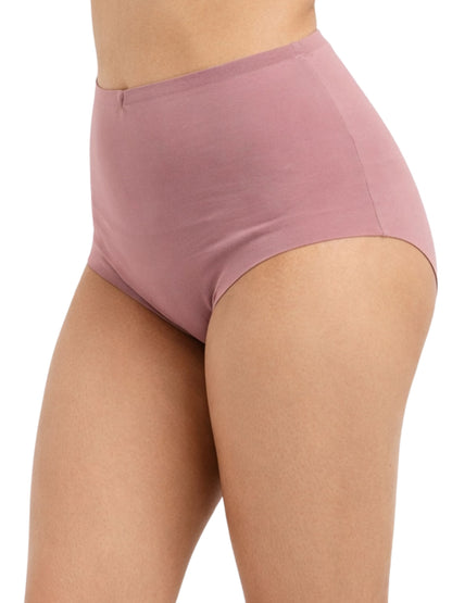 Dchica Essentials Pack of 4 High Waist Antimicrobial Ice Silk Seamless Shaping Panty Assorted  for Women